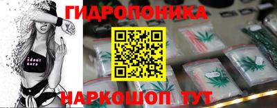 СК Сланцы
