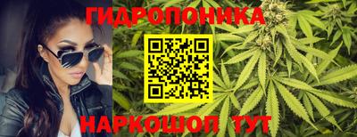 прущие крисы Славянск-на-Кубани