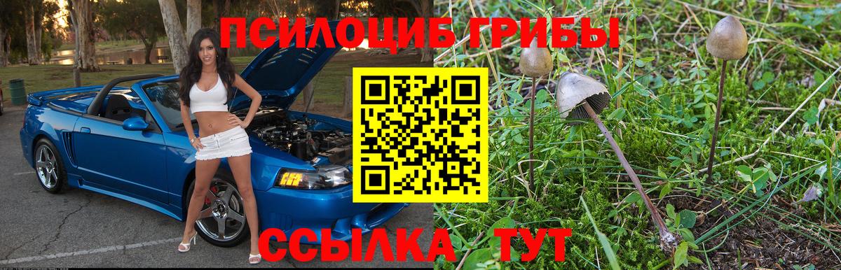 Галлюциногенные грибы GOLDEN TEACHER  Вход с VPN  Новоуральск 